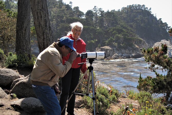 Guided 2-Hour Point Lobos Nature Walk - Meeting and Pickup