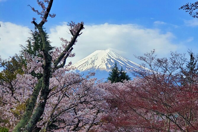 Guided 3 Days Tour Tokyo, Mt. Fuji and Hakone GREEN NUMBER PLATE - Pickup and Transportation