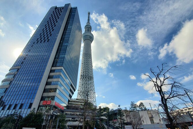 Guided 3 Days Tour Tokyo, Mt. Fuji and Hakone GREEN NUMBER PLATE - Booking and Availability