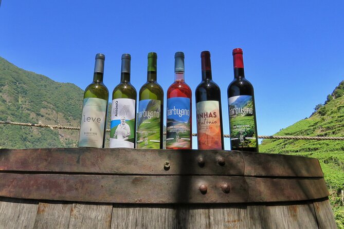 Guided 4x4 Adventure and Skywalk With Wine and Tapas in Madeira - About Your Stay