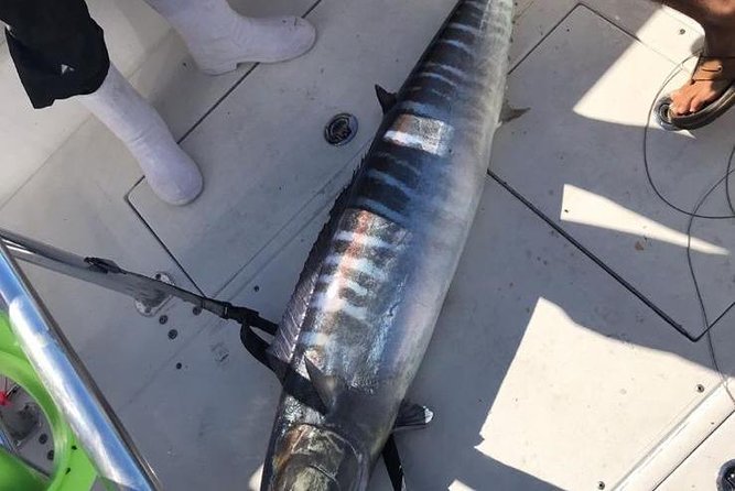 Guided 8 HR Full Day Fishing / Snorkel Private Charter Trip 40 Mega Bite - Activity Details