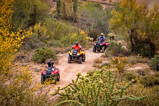 Guided Arizona Desert Tour by ATV - Just The Basics