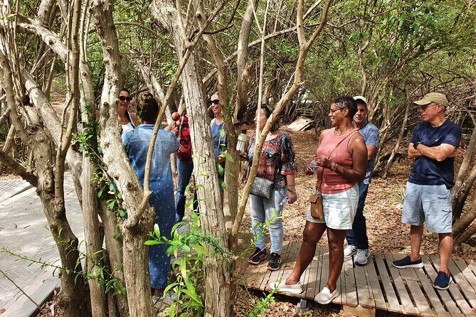Guided Art Heritage Nature Tour - Who Will Love This Tour?