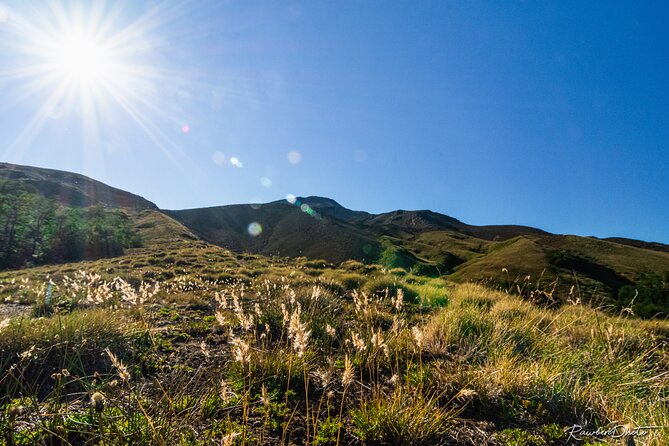 Guided Ascent to the Quetrupillán Volcano From Pucón - Tour Requirements and Considerations