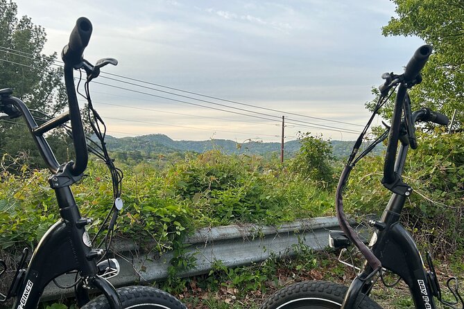 Guided Asheville E-bike Tour of River Arts, Mountains and Murals - Inclusions
