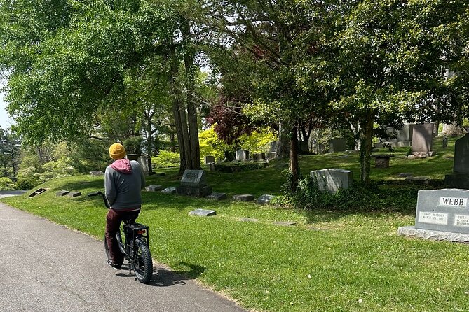 Guided Asheville E-bike Tour of River Arts, Mountains and Murals - Taking in Ashevilles Vibrant Murals