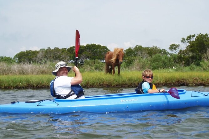 Guided Assateague Kayaking and Wildlife Discovery Tour - Tour Overview and Details
