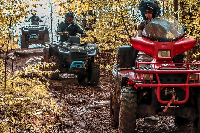Guided ATV Adventure Tours in Kaladar - Booking and Eligibility