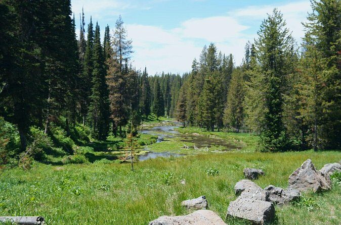 Guided ATV Tours and Explore Hidden Gems in the Yellowstone area - Who Will Love This Tour?