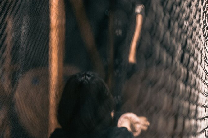 Guided Axe Throwing Experience in Frankfurt Altstadt - Group Participation and Private Tour