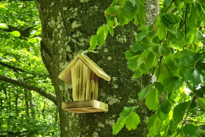 Guided Balkan Deep Forest Tour - Expectations and Requirements