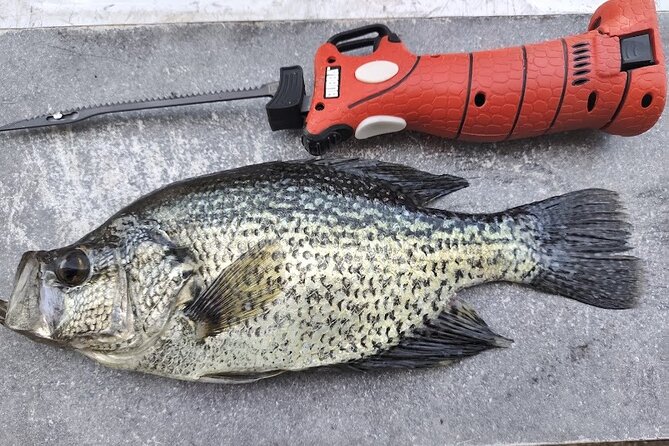 Guided Bass and Crappie Fishing on Broken Bow Lake. - Gear and Equipment