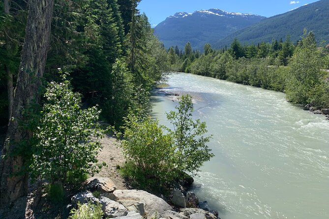 Guided Bike /E-bike Tour in Whistler From Vancouver - Transportation and Bikes