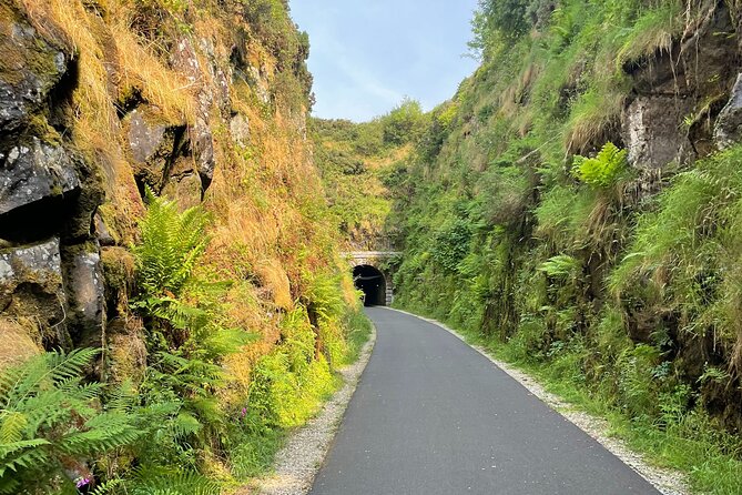 Guided Bike Ride: Exploring the Limerick Greenway - Bicycle Tour Itinerary