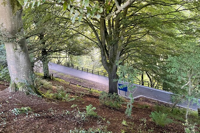 Guided Bike Ride: Exploring the Limerick Greenway - Health and Accessibility Considerations