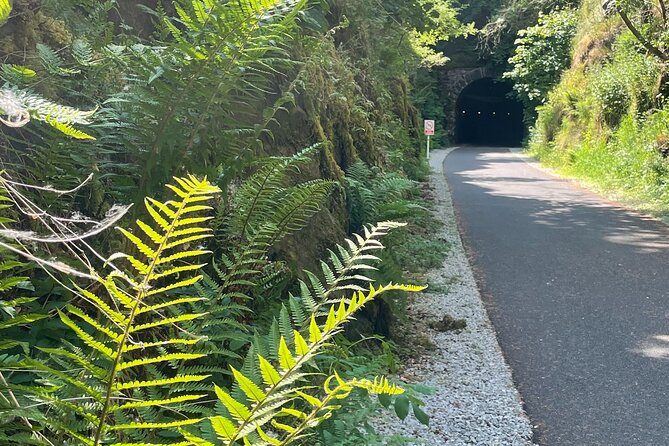 Guided Bike Ride: Exploring the Limerick Greenway - Booking and Confirmation Process
