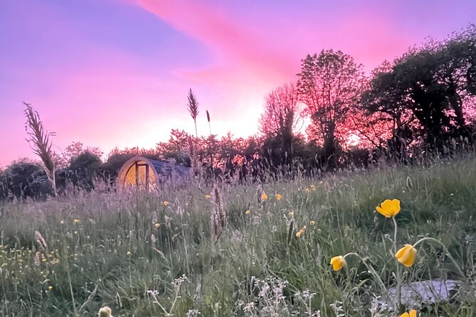 Guided Bike Ride: Exploring the Limerick Greenway - Guided Tour Experience