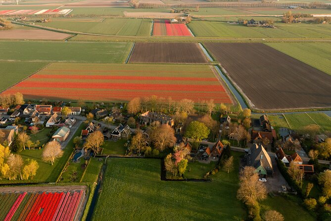Guided Bike Tour Along the Dutch Tulip Fields in Noord Holland - Meeting Point and Logistics