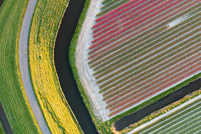 Guided Bike Tour Along the Dutch Tulip Fields in Noord Holland - Inclusions and Additional Information