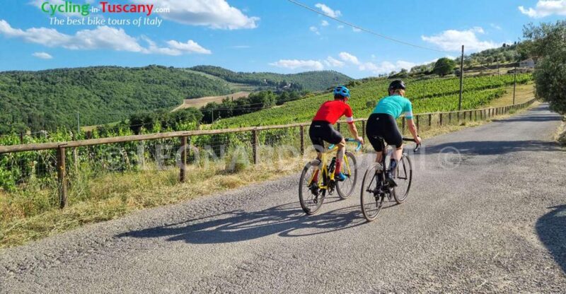 Guided Bike Tour in Chianti, Tuscany, Italy. - Tour Highlights