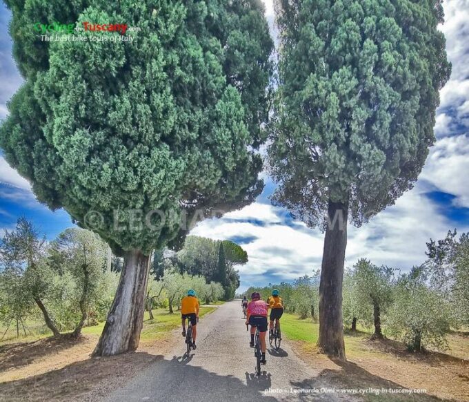Guided Bike Tour in Chianti, Tuscany, Italy. - Booking and Availability