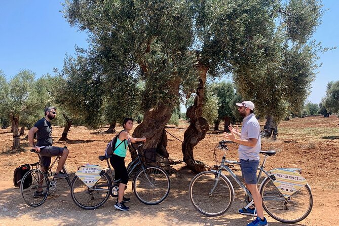Guided Bike Tour of Monopoli Countryside  - Alberobello & Locorotondo - Traveler Photos and Gallery
