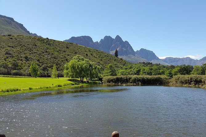 Guided Bike Tour of Stellenbosch - Requirements and Restrictions