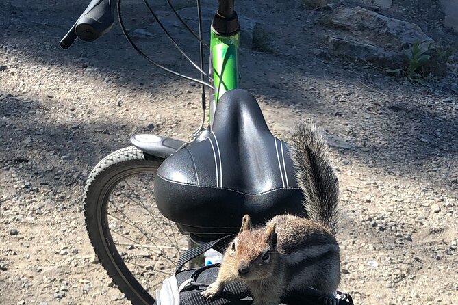 Guided Bike Tour on Historical Kettle Valley Railway at Myra Canyon & Wine Tour - Whats Included in the Tour