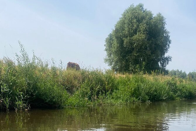 Guided Bike Tour Through the Dutch Countryside in Noord- Holland - Group Size and Confirmation