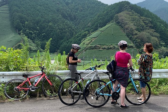 Guided Bike Tour to a Green Tea Farm in Shizuoka (Not E-Bikes) - Tour Details