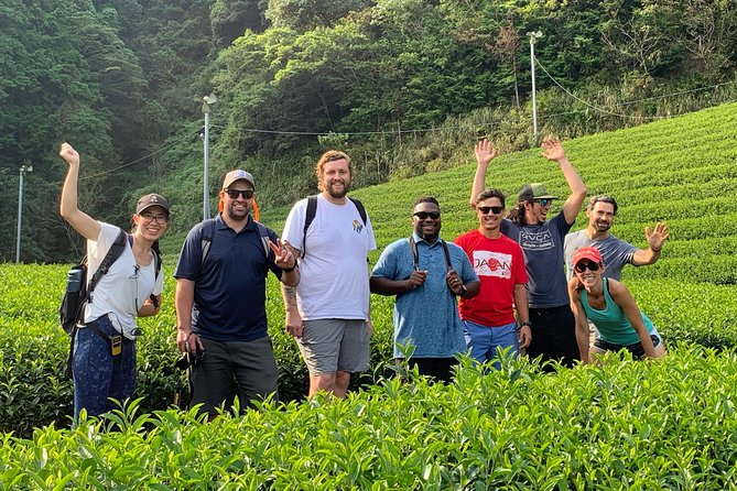 Guided Bike Tour to a Green Tea Farm in Shizuoka (Not E-Bikes) - Tour Logistics