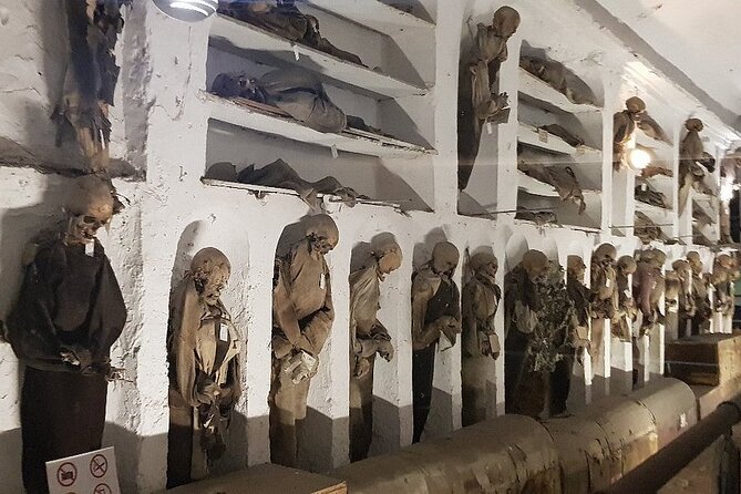 Guided Bike Tour to the Capuchin Catacombs - Health and Accessibility