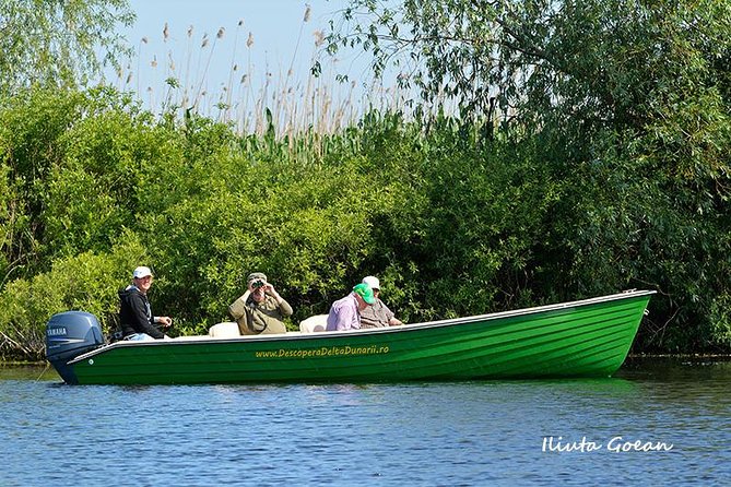 Guided Birdwatching Day Trip to the Danube Delta - Private Program - Good To Know