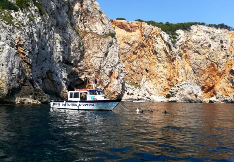 Guided Boat Tour to Medes Islands & Roca Foradada With Swim - Key Points