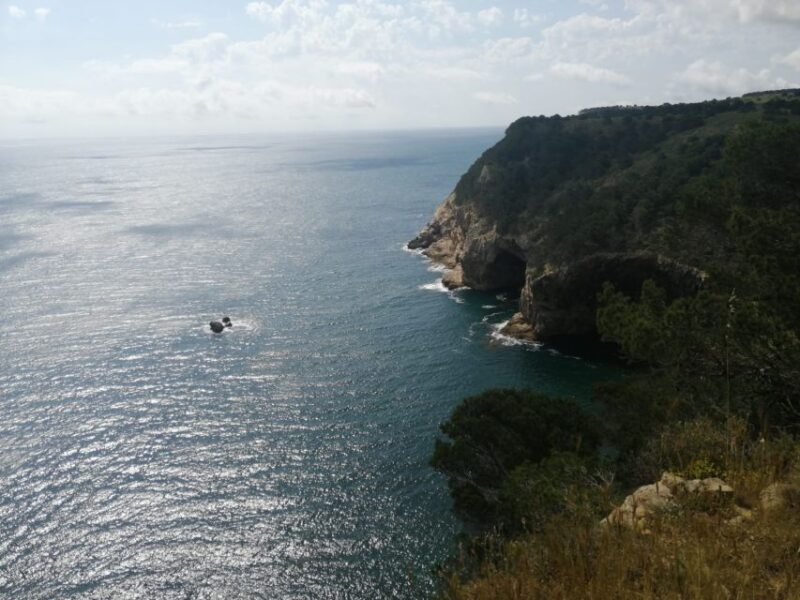 Guided Boat Tour to Medes Islands & Roca Foradada With Swim - Itinerary Details