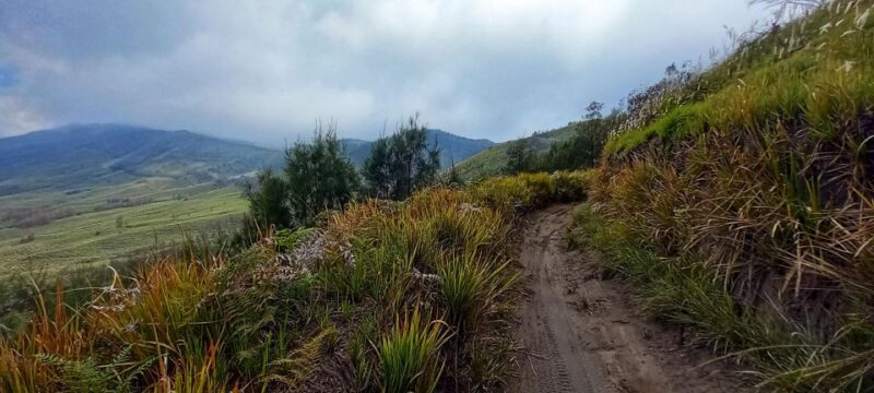 Guided Bromo Dirt Bike Tour From Malang or Surabaya - Important Information