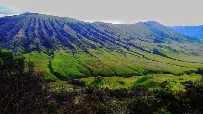 Guided Bromo Dirt Bike Tour From Malang or Surabaya - Pickup and Drop-off
