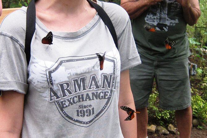 Guided Butterfly Conservatory Tour in Costa Rica - Itinerary and Features