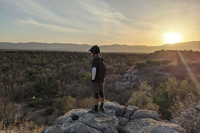 Guided Cactus Forest Mountain Bike Experience in La Ventana - Who Will Enjoy This Tour?