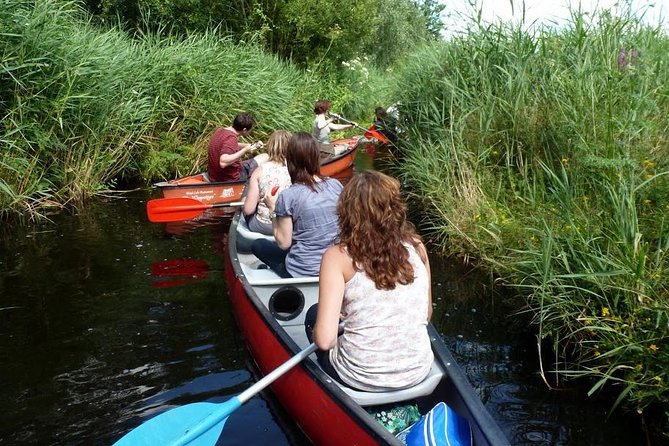 Guided Canoe Adventure With Picnic Lunch in Waterland From Amsterdam - Activities During the Canoe Adventure
