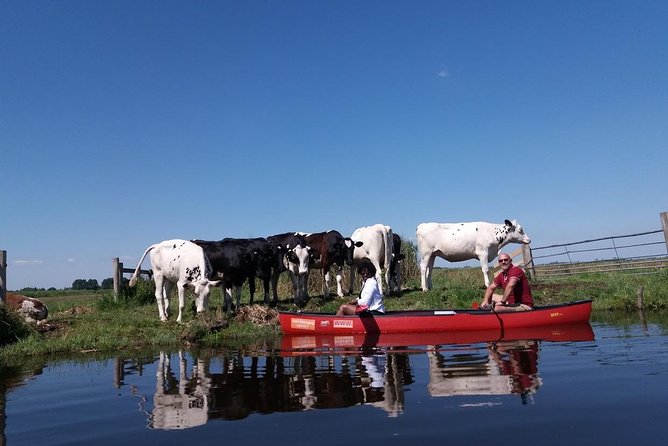 Guided Canoe Adventure With Picnic Lunch in Waterland From Amsterdam - Booking Confirmation and Group Size