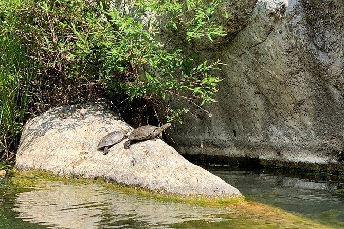 Guided Canyoning Adventure Near Marbella (Benahavís River Walk) - Tips for a Great Experience