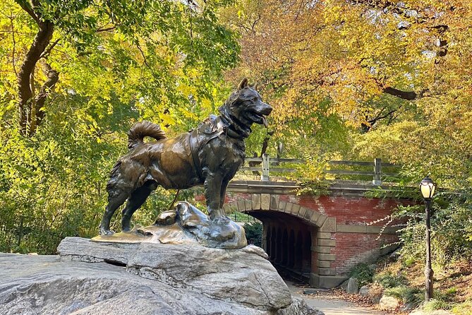 Guided Central Park Bike Tour 2 Hours - Cancellation Policy