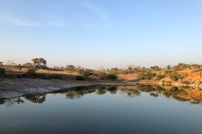Guided Chittorgarh Fort Tour From Jaipur With Drop At Udaipur - Accessibility and Participation