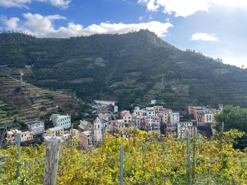 Guided Cinque Terre Hiking Day From Florence - Itinerary Highlights
