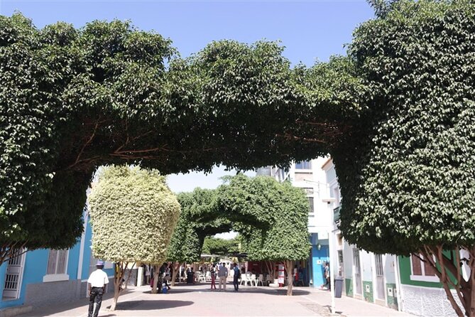Guided City Tour Praia, Highlights Tour - Reviews and Feedback