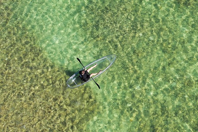 Guided Clear Kayak Eco-Tour Near Key West - Kayak and Equipment Details