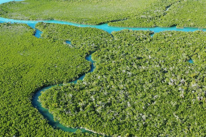 Guided Clear Kayak Eco-Tour Near Key West - Meeting Point and Logistics