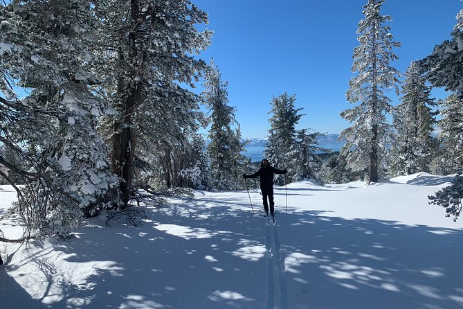 Guided Cross Country Skiing at Lake Tahoe - Exploring the Snowy Trails