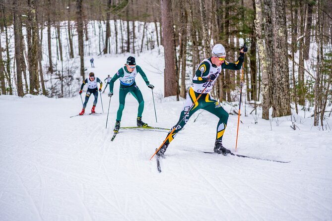 Guided Cross Country Skiing at Lake Tahoe - Traveler Testimonial and Recommendation